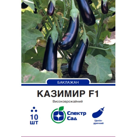 Баклажан Казимир F1, 10 шт