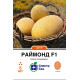 Диня Раймонд F1, 5 шт