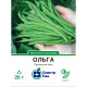 Спаржева квасоля Ольга, 20 г