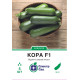 Кабачок Кора F1, 5 шт