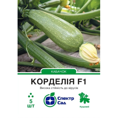 Кабачок Корделія F1, 5 шт