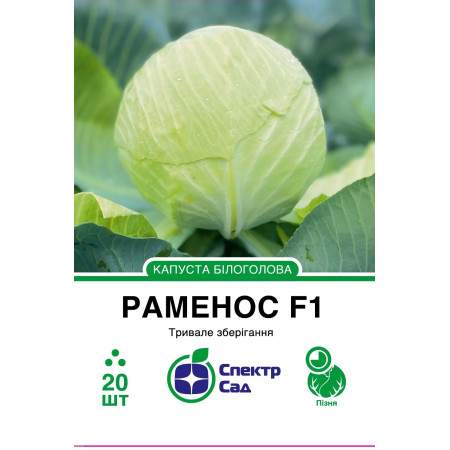 Білоголова капуста Раменос F1, 20 шт