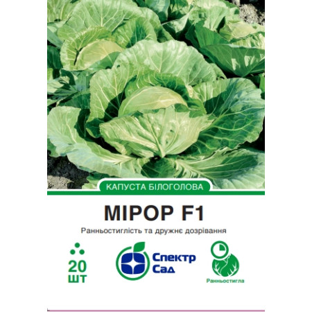 Білоголова капуста Мірор F1, 20 шт