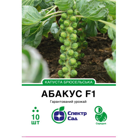 Брюссельська капуста Абакус F1, 10 шт