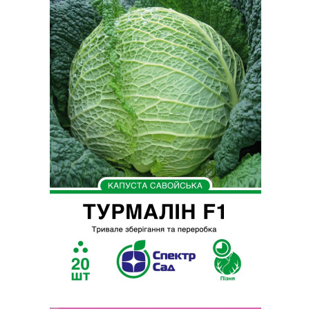 Савойська капуста Турмалін F1, 20 шт