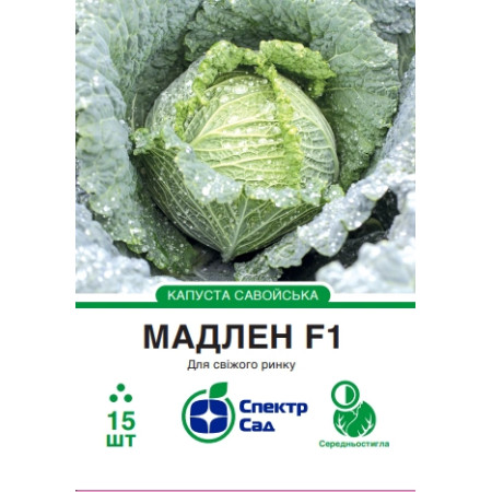Савойська капуста Мадлен F1, 15 шт