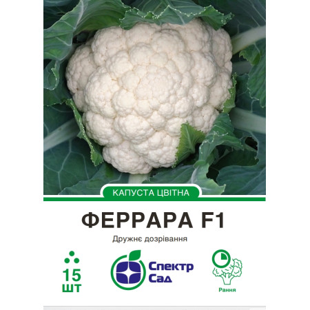 Цвітна капуста Феррара F1, 15 шт