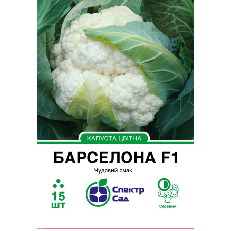 Цвітна капуста Барселона F1, 15 шт