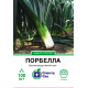 Цибуля порей Порбелла, 100 шт