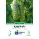 Огірок Амур F1, 10 шт