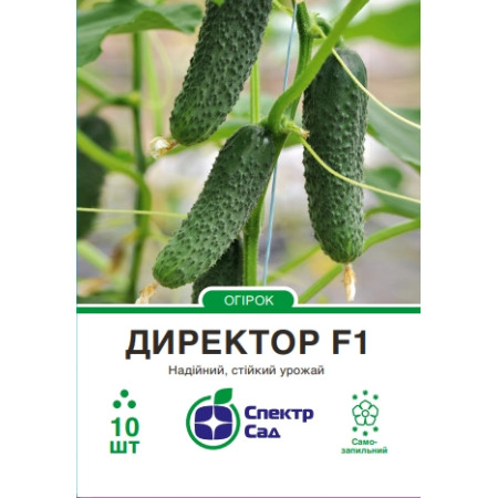 Огірок Директор F1, 10 шт