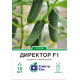 Огірок Директор F1, 10 шт
