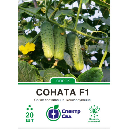 Огірок Соната F1, 20 шт