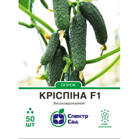 Огірок Кріспіна F1, 50 шт