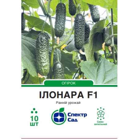 Огірок Ілонара F1, 10 шт