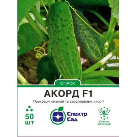 Огірок Акорд F1, 50 шт