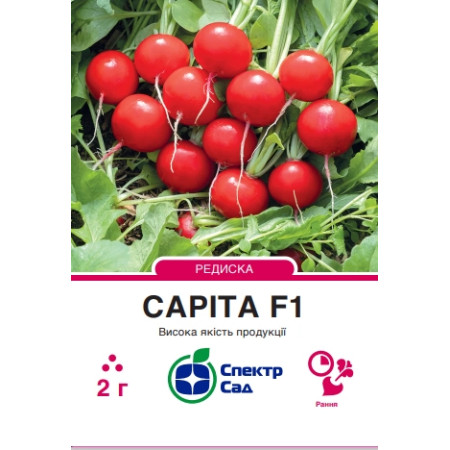 Редиска Саріта F1, 2 г