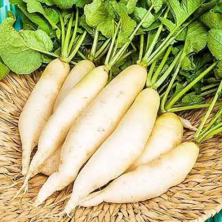 Редиска Вайт Брекфаст, 5 кг