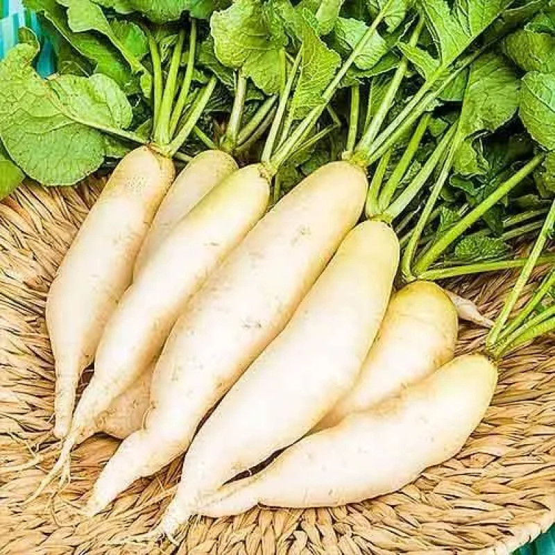 Редиска Вайт Брекфаст, 10 г