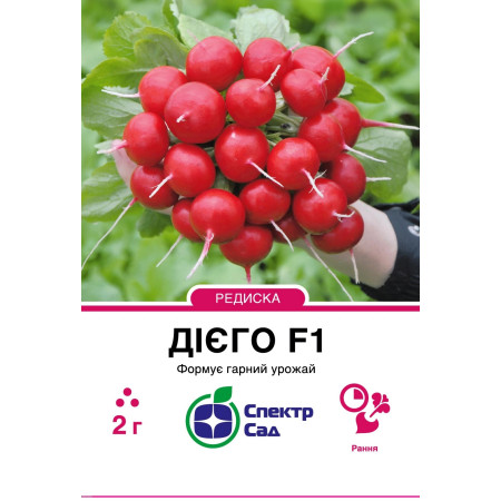 Редиска Дієго F1, 2 г