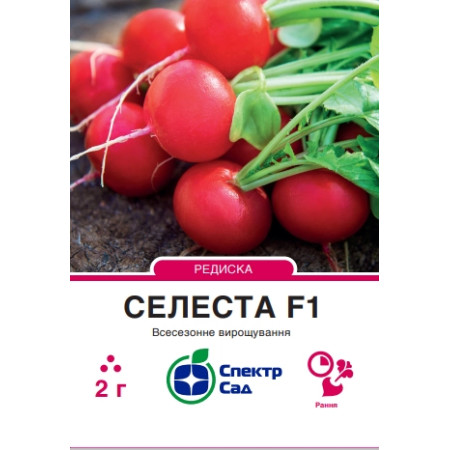 Редиска Селеста F1, 2 г