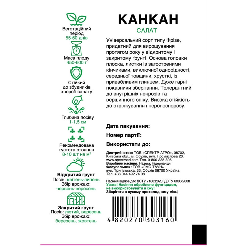 Салат Канкан, тип Фрізе, 30 шт