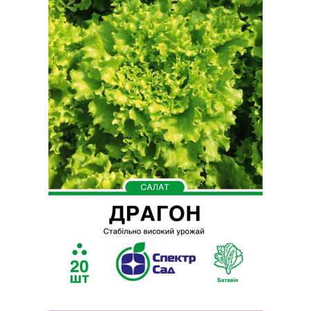 Салат Драгон, тип Батавія, 20 шт