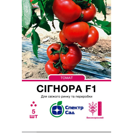 Томат Сігнора F1, 5 шт