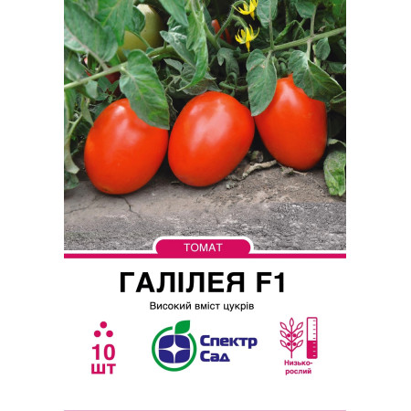 Томат Галілея F1, 10 шт