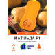 Гарбуз Матільда F1, 5 шт