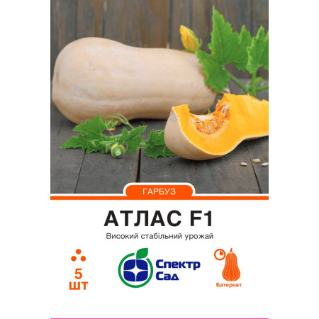 Гарбуз Атлас F1, 5 шт
