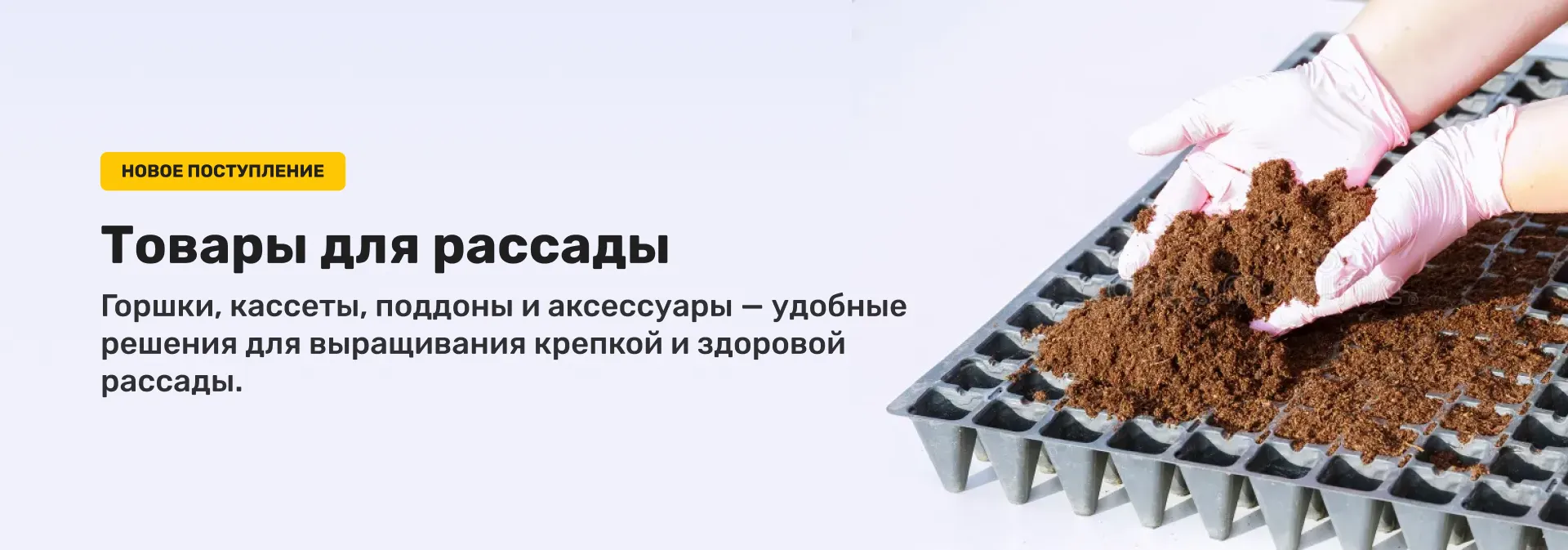 Товары для рассады